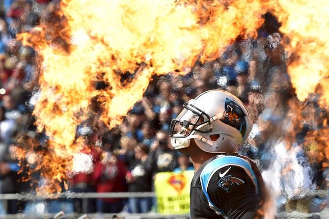  Carolina Panthers 