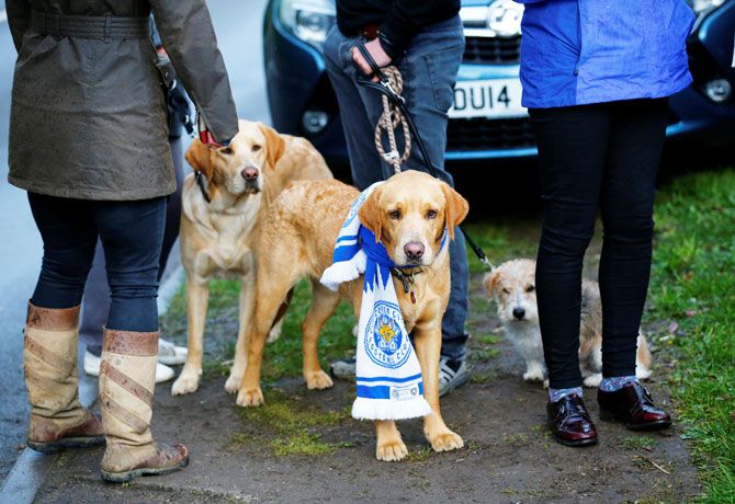 Leicester City fans with their dogs outside Jamie Vardy's home