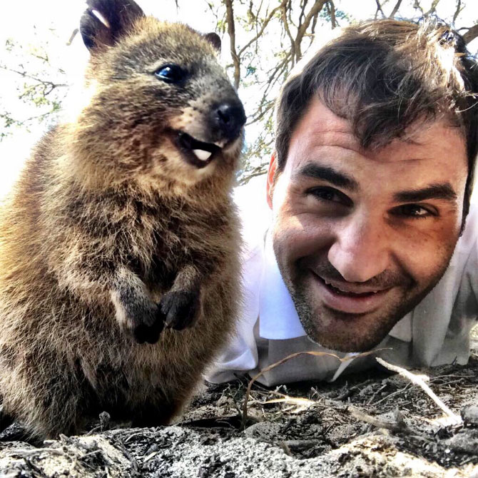 Roger Federer with a baby koala on Thursday