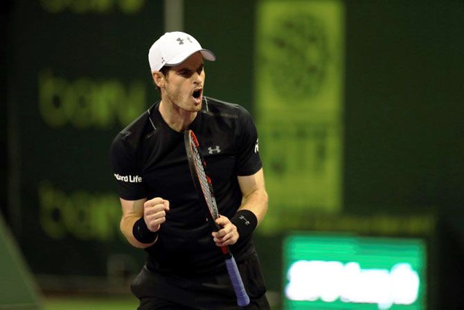 Andy Murray reacts after his win over Tomas Berdych at the Qatar Open semi-final in Doha on Friday