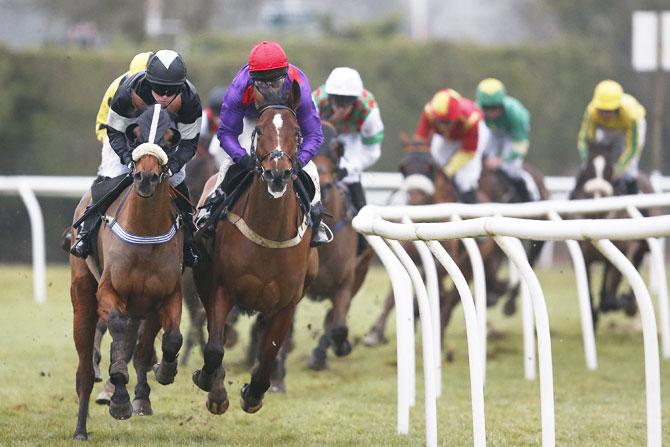 Jamie Moore riding Instingtive (purple) on their way to winning The Graham Warner Retirement Novicesâ Handicap Steeple Chase at Plumpton Racecourse in Plumpton on Monday