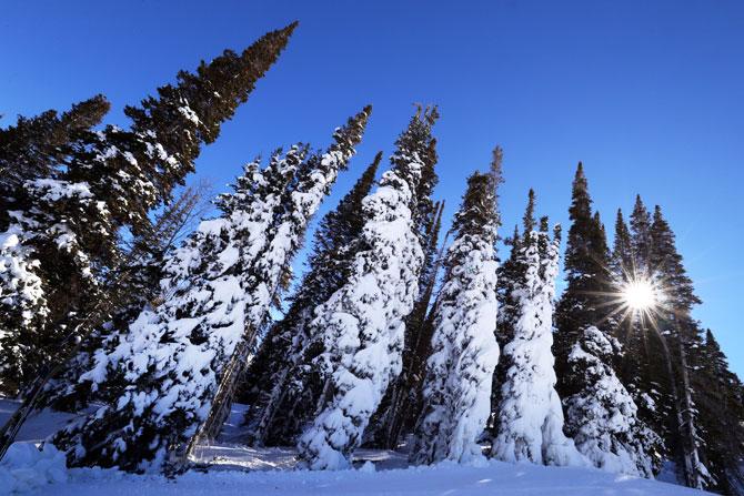 The sun peaks out through the trees at the FIS Snowboard World Championships at Solitude Mountain Resort in Solitude, Utah, on Thursday