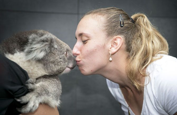 Belgium's Elise Mertens kisses a koala