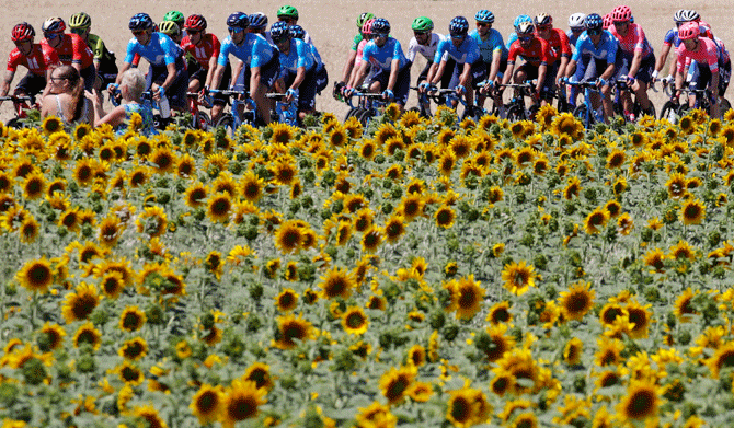 The peloton ride through a field of sunflowers the 213.5-km Stage 4 from Reims to Nancy on July 9