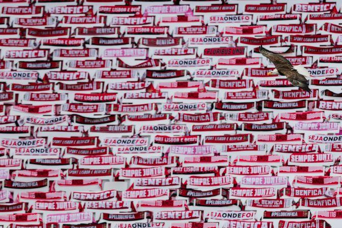 Benfica's mascot eagle flying over the pitch at halftime, as play resumes behind closed doors. The attack on a major motorway between the club's Estadio da Luz and training ground followed Benfica's first game in three months after the season was disrupted by the COVID-19 pandemic.