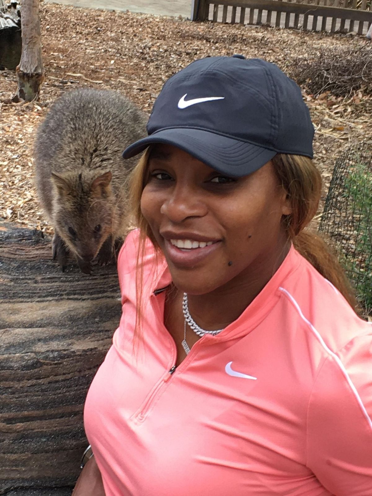 Serena Williams with a quokka, a native Australian animal, at the Adelaide zoo on Friday.