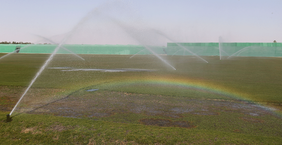 A turf nursery at the Umm Slal, in Doha, Qatar. Organisers have declined to say how much the turf programme has cost Qatar, a wealthy gas exporter that spent billions on infrastructure over the last decade to prepare for the event.