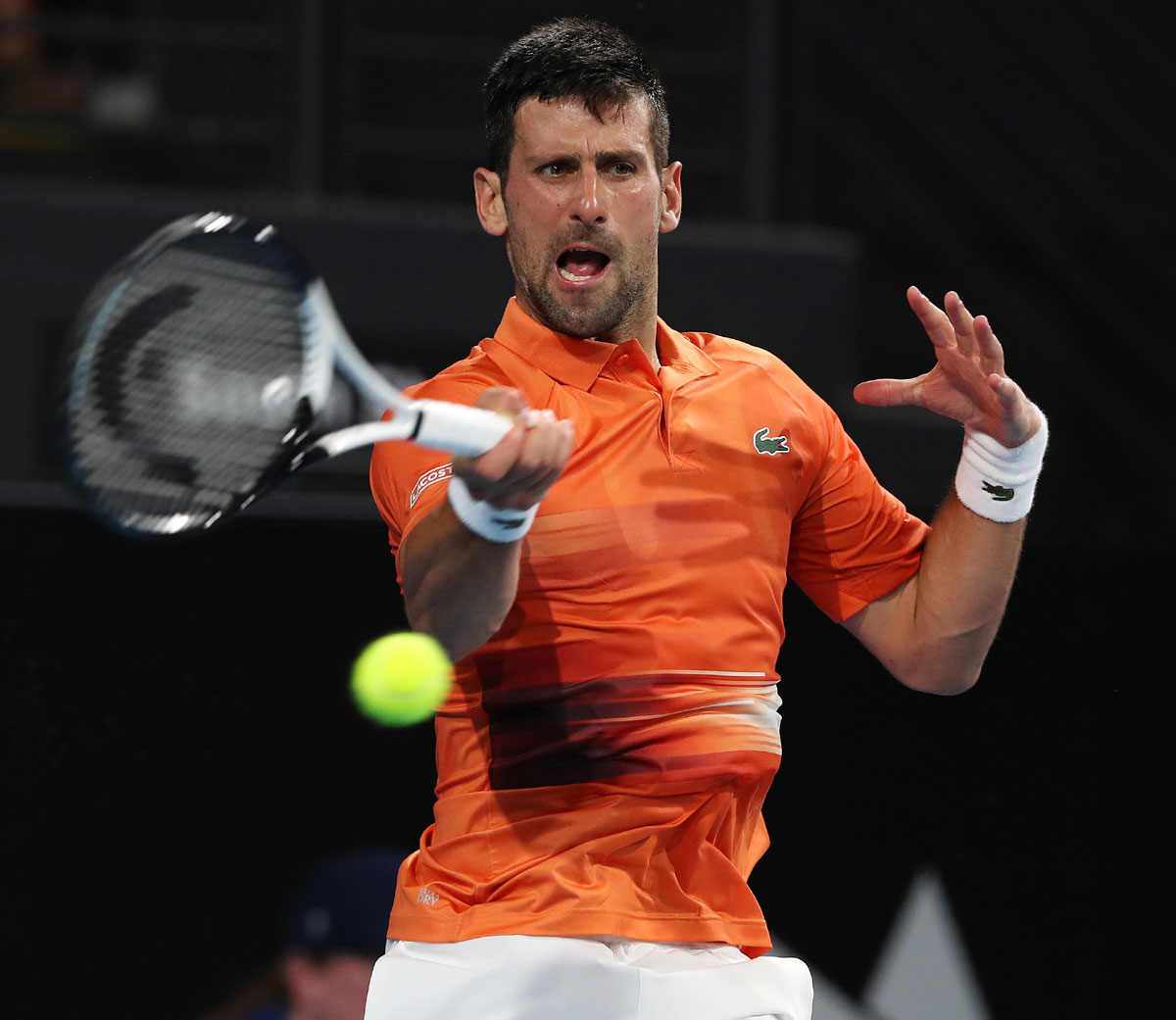 Dubai Tennis Championships: Daniil Medvedev Stuns Novak Djokovic