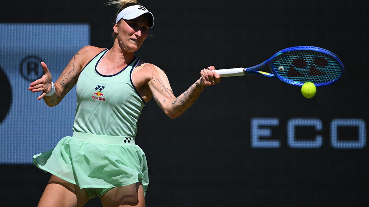 Vondrousova