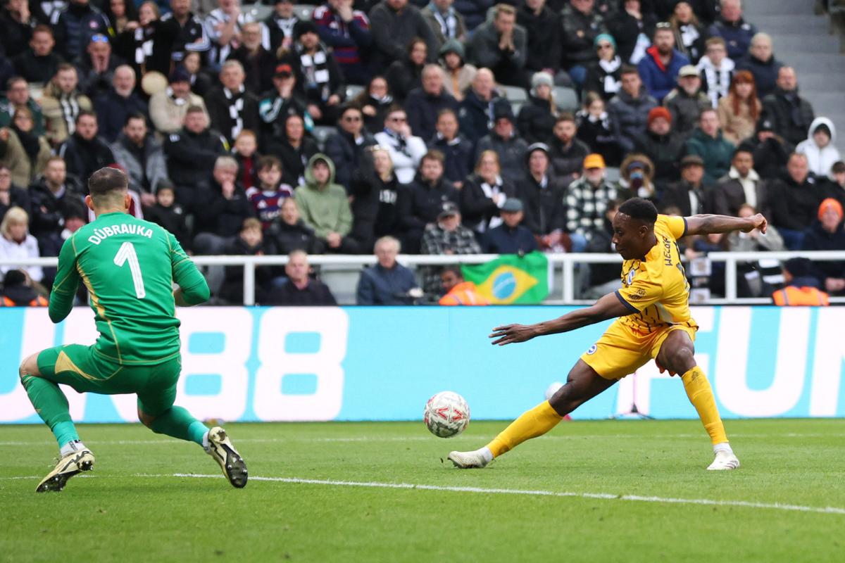 Brighton & Hove Albion's Danny Welbeck scores their second goal against Newcastle United in their FA Cup fifth round match