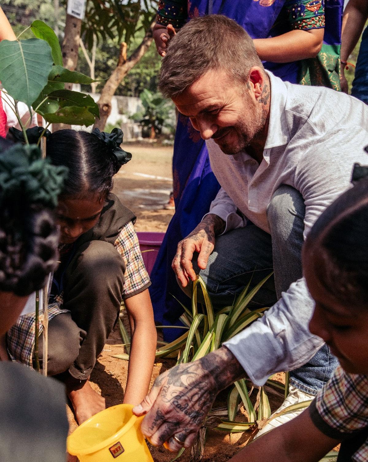 David Beckham David Beckham