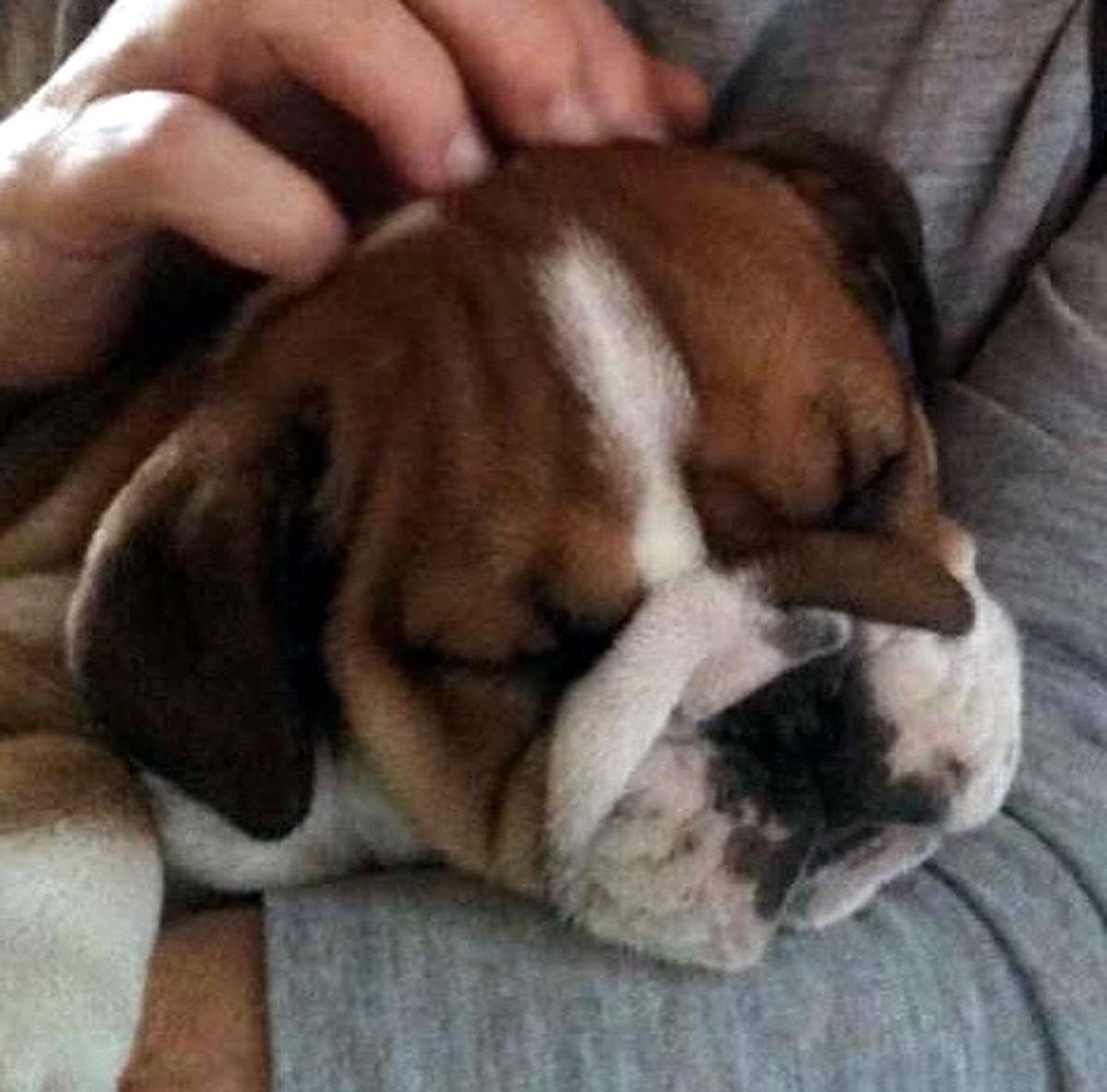 Lewis Hamilton Lewis Hamilton