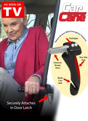 Car Cane