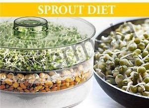 Sprout maker